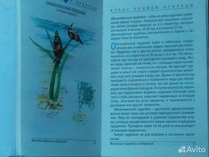 Книга-атлас Животные водоёмов. Детская