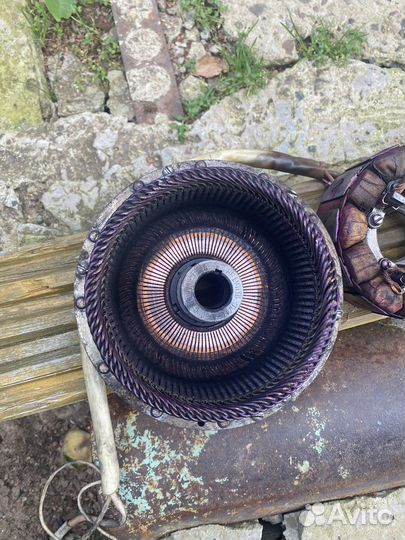 Диностартер муравей