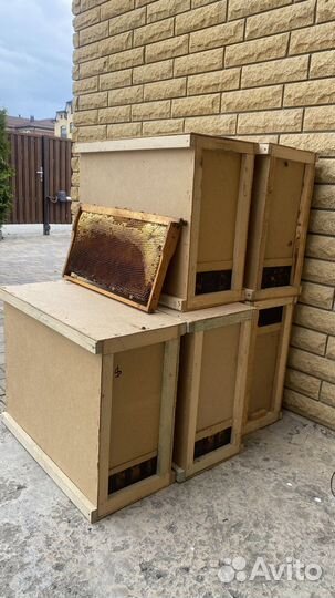 Пчелопакеты на 2023 год ВДНХ