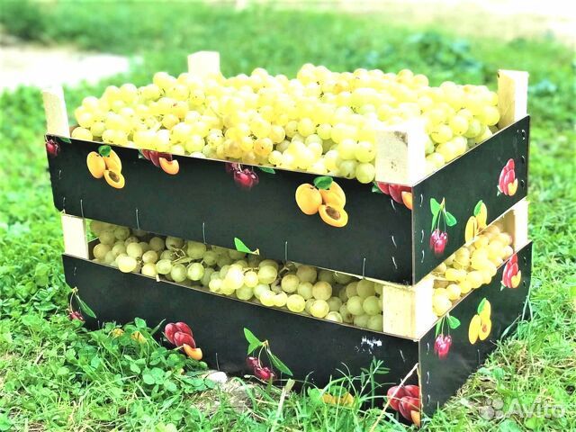 Ящик деревянный для хранения ягод и фруктов Опт