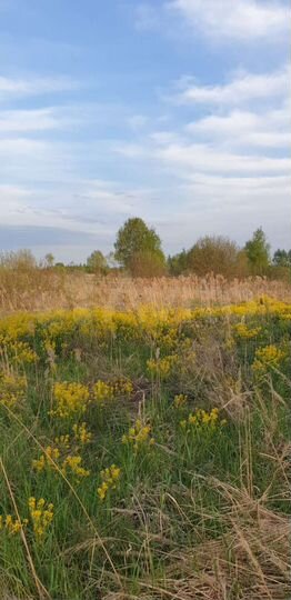 Участок 1,02 га (СНТ, ДНП)