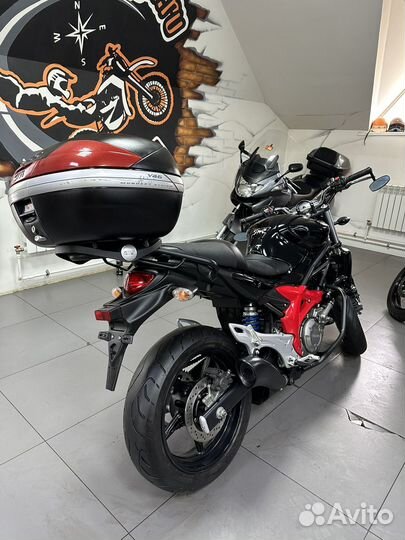 Suzuki SFV650 Gladius без пробега по РФ