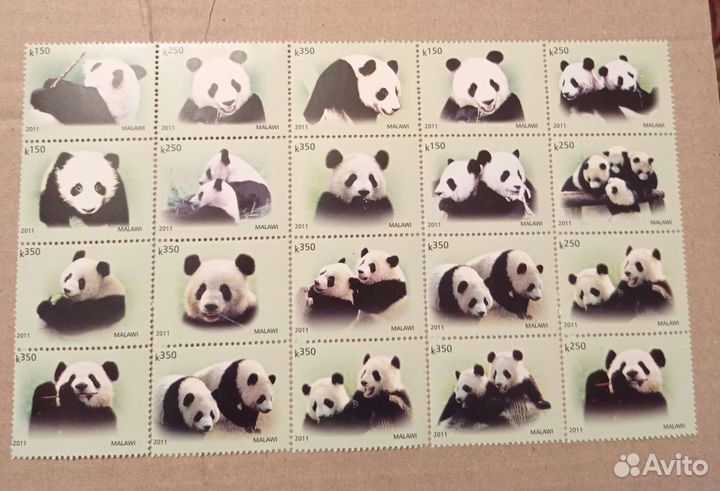 Малави. 2011.серия марок фауна Панды 40 шт