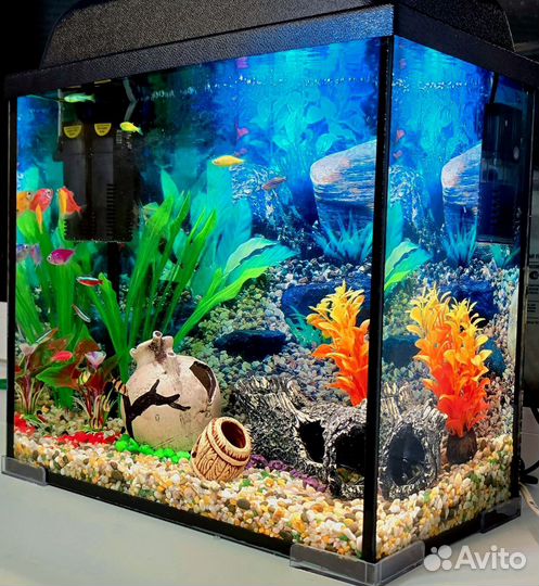 Аквариум с рыбками 20 литров