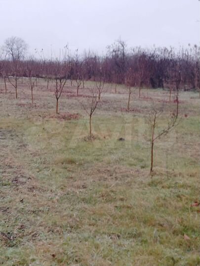 Дом 120 м² на участке 32 сот.