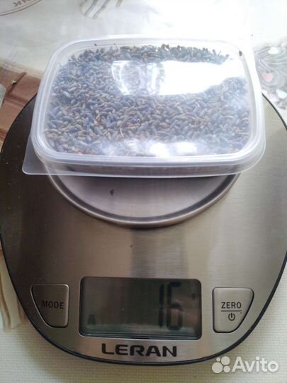 Лаванда цвет