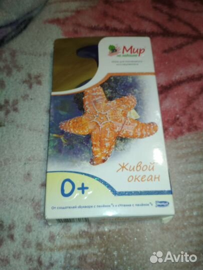 Мир на ладошке 