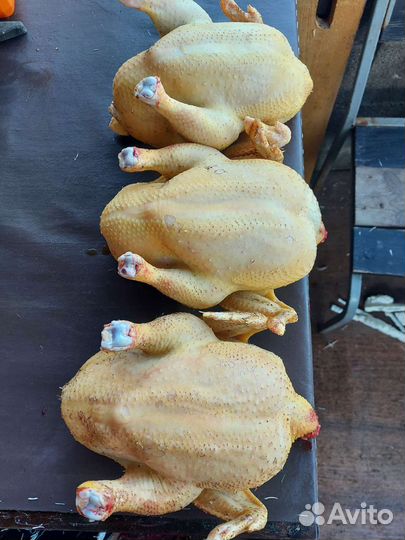 Мясо деревенских кур-бройлеров и уток