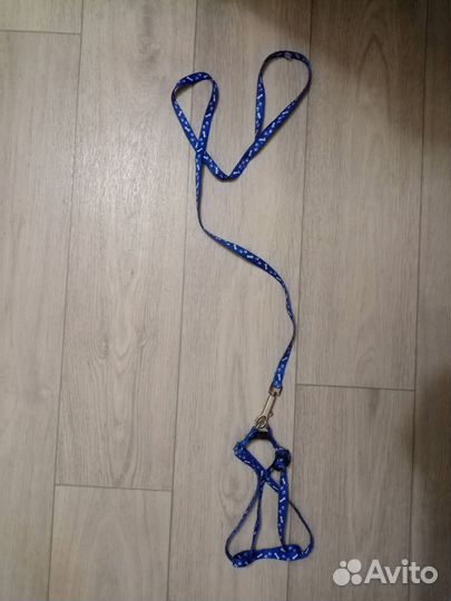 Шлейка с поводком для кошки