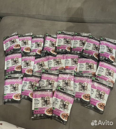 Корм для котят