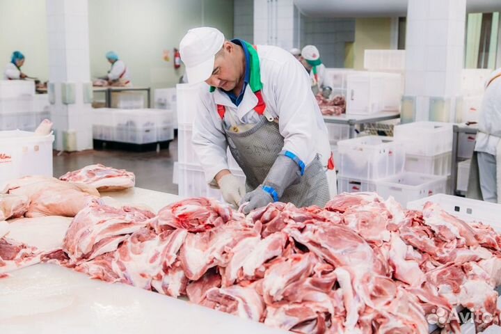 Разнорабочий питание/жилье бесплатно