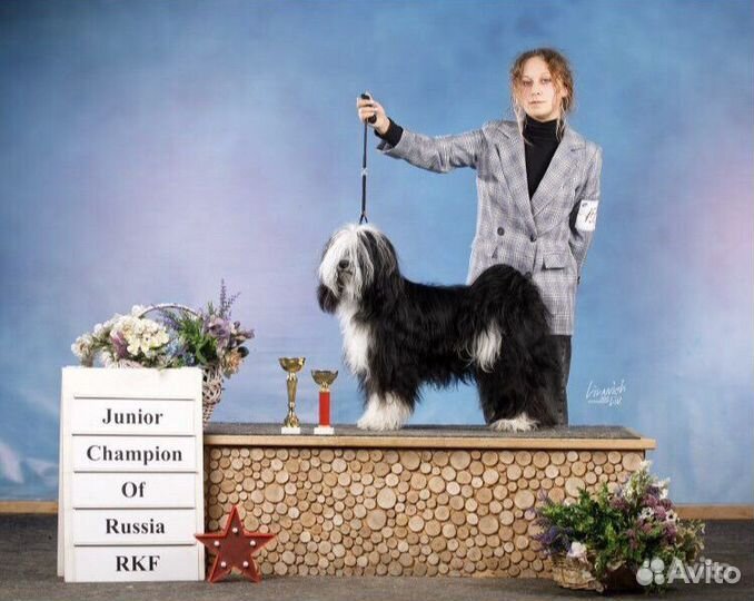 Услуги хендлера