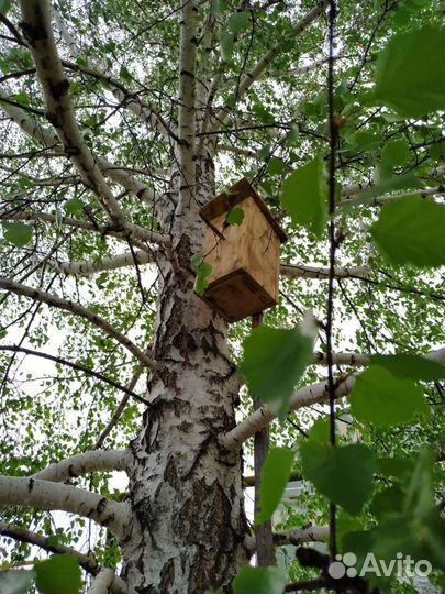 Скворечник, синичник, домики для птиц