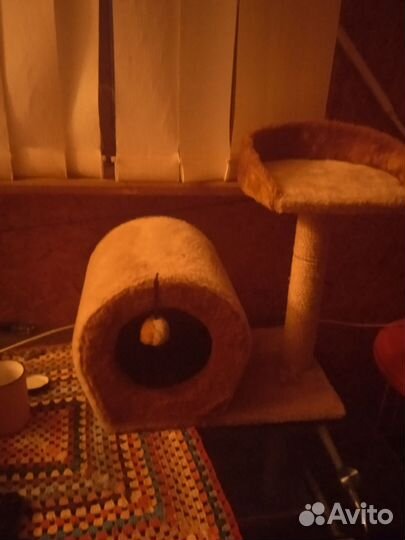 Когтеточка