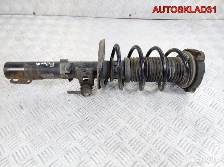 Амортизатор передний Skoda Fabia 6Q0413031BH