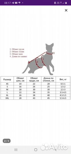 Одежда для сфинксов кошки