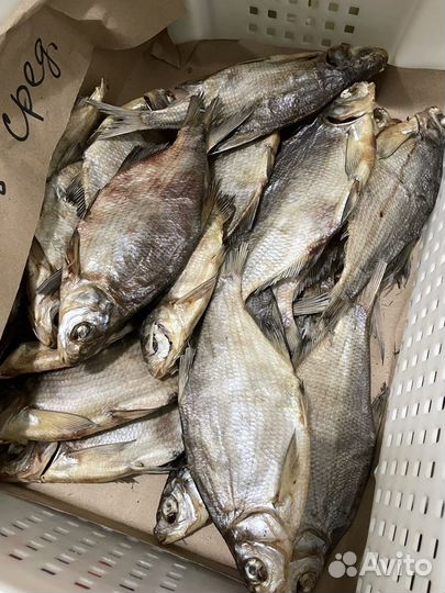 Лещ вяленый крупный / средний