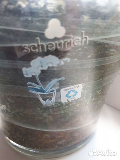 Горшок для орхидей Scheurich