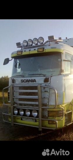 Кенгурятник