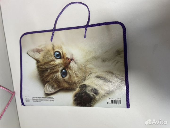 Папка для труда a4с ручками