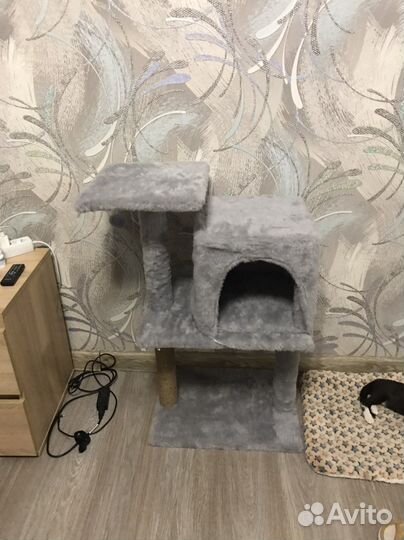 Домик для кошки новый