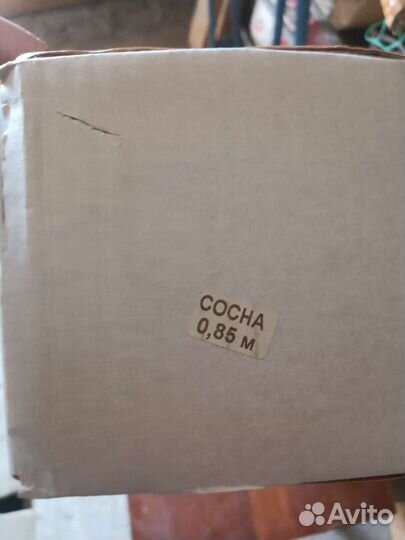 Елка сосна искусственная 85 см