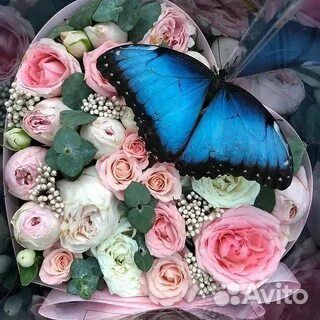 Живые бабочки с цветами или фермы бабочек