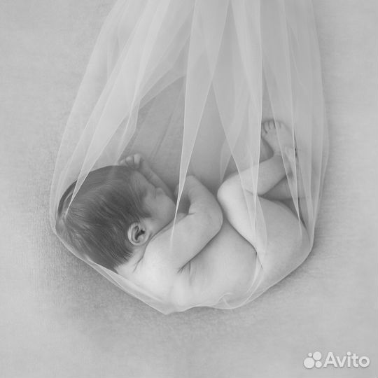 Фотосессия новорожденных