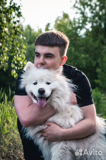 Репетитор по информатике и математике