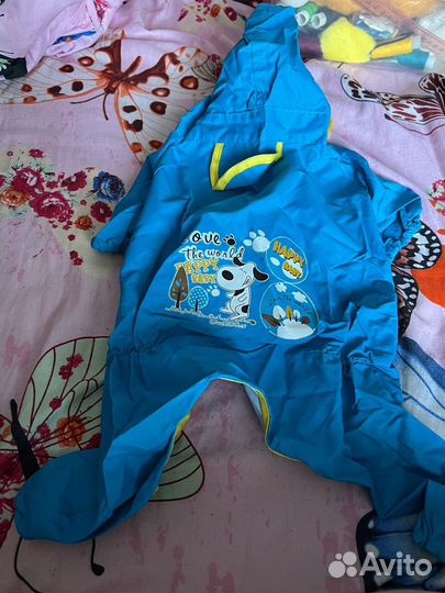 Одежда для собак