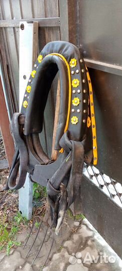 Сбруя для лошади