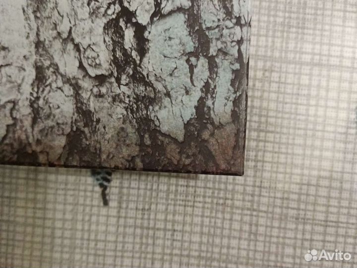 Среди эльфов и троллей