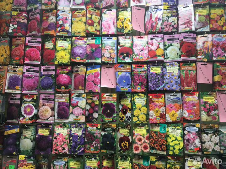 Семена В ассортименте