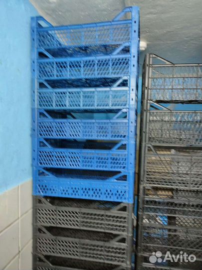 Пластиковые ящики для овощей бу