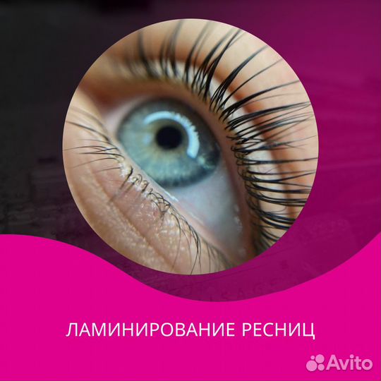 Мастер бровист