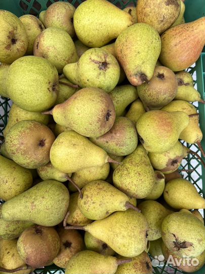 Груши, яблоки