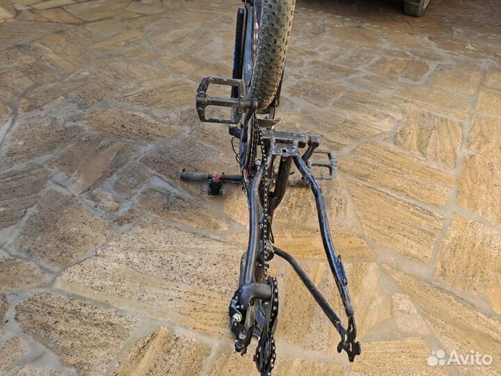 Федбайк Акула