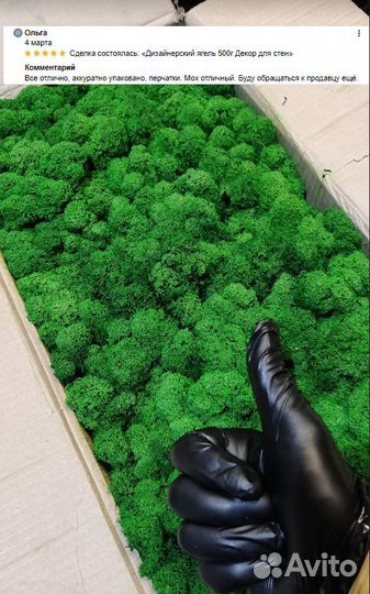 Стабилизированный мох ягель,кочки,пластовой