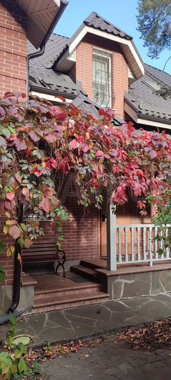 Дом 248 м² на участке 20 сот.