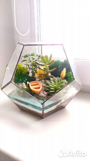 Геометрический флорариум