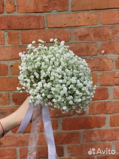 Венок/букет/композиция из гипсофилы