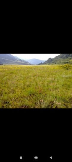 Участок 13,1 га (СНТ, ДНП)