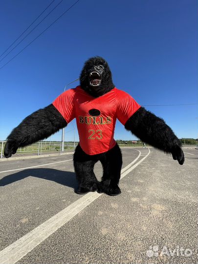 Поздравление