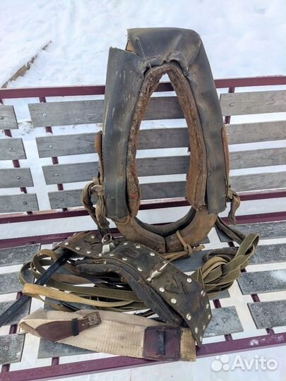 Сани для лошади и хомут