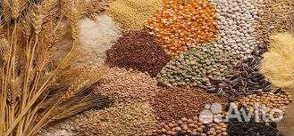 Корма для с/х животных