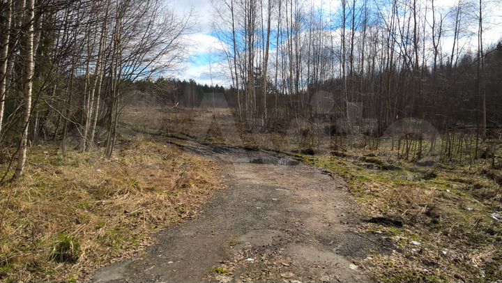 Участок 6,8 га (СНТ, ДНП)