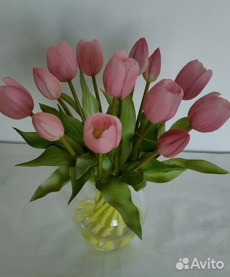 Цветы тюльпаны