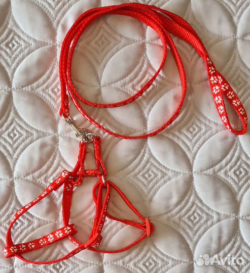 Ошейник для маленькой собаки