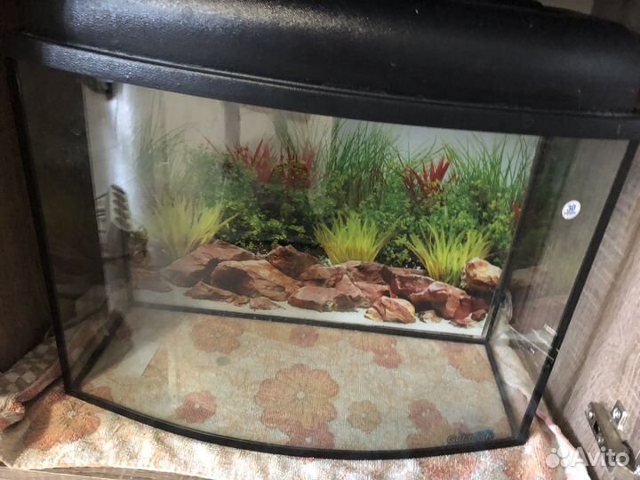 Аквариум