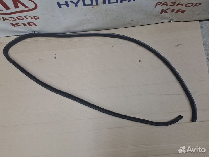 Уплотнитель левой двери Kia Picanto 2 TA Coupe